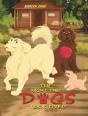 The Night The Dogs Took Over - Preview