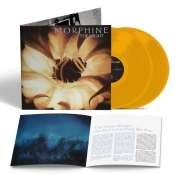Capa do artigo The Night - Vinil
