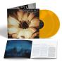 The Night - Vinil - Preview