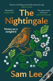 Capa do artigo The Nightingale
