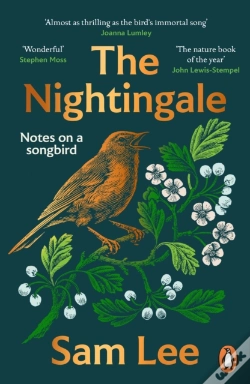 Capa do artigo The Nightingale