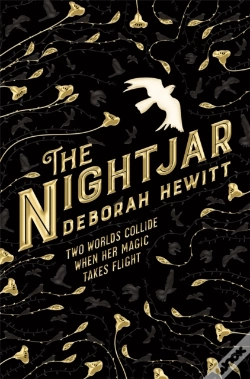 Capa do artigo The Nightjar