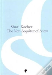 The Non-Sequitur Of Snow