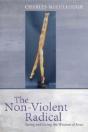 The Nonviolent Radical - Preview