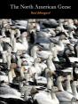 The North American Geese - Preview
