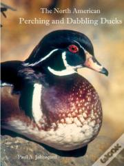 The North American Perching And Dabbling Ducks