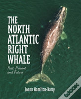 The North Atlantic Right Whale