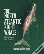 The North Atlantic Right Whale