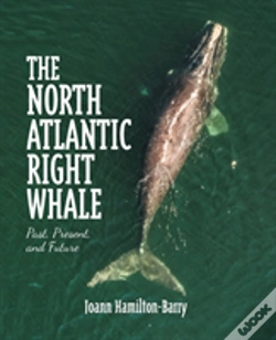 Capa do artigo The North Atlantic Right Whale