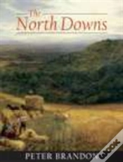 Capa do artigo The North Downs