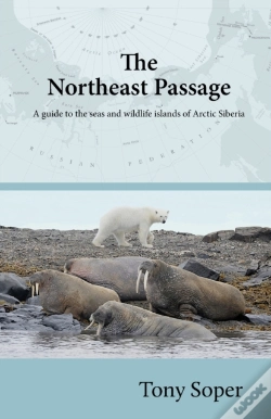 Capa do artigo The Northeast Passage: A Guide To The Se