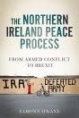 The Northern Ireland Peace Process - Preview