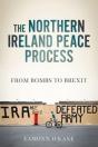 The Northern Ireland Peace Process - Preview