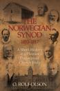 The Norwegian Synod 1853-1917 - Preview