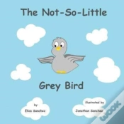 Capa do artigo The Not-So-Little Grey Bird