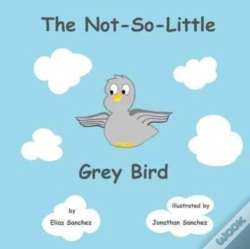 Capa do artigo The Not-So-Little Grey Bird