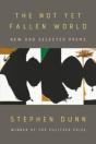 The Not Yet Fallen World - Preview