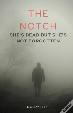 Capa do artigo The Notch