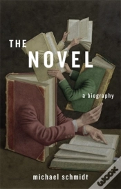 Capa do artigo The Novel