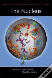 Capa do artigo The Nucleus