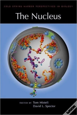 Capa do artigo The Nucleus