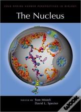 The Nucleus