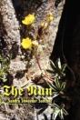 The Nun - Preview