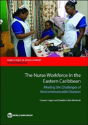 The Nurse Workforce In The Eastern Caribbean - Preview