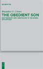 The Obedient Son - Preview