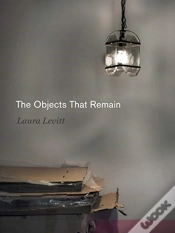 Capa do artigo The Objects That Remain