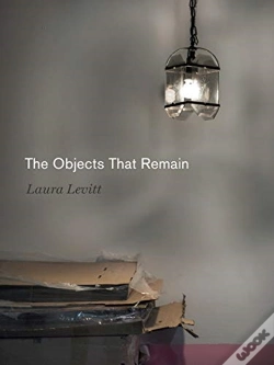 Capa do artigo The Objects That Remain