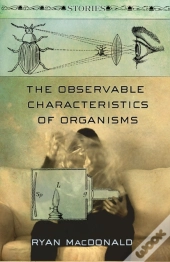 The Observable Characteristics Of Organisms