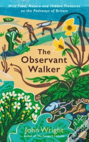 Capa do artigo The Observant Walker