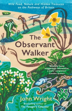 Capa do artigo The Observant Walker