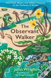 Capa do artigo The Observant Walker