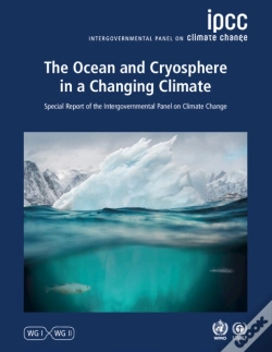 Capa do artigo The Ocean And Cryosphere In A Changing Climate
