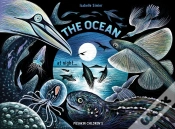 Capa do artigo The Ocean At Night