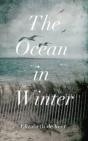 The Ocean In Winter - Preview