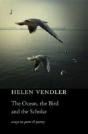 The Ocean The Bird And The Scholar - Preview
