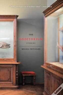 Capa do artigo The Odditorium