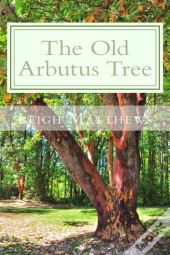 The Old Arbutus Tree
