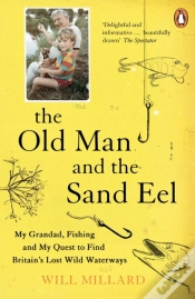 Capa do artigo The Old Man And The Sand Eel