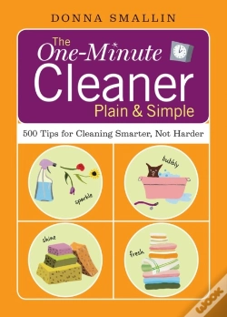 Capa do artigo The One-Minute Cleaner Plain & Simple