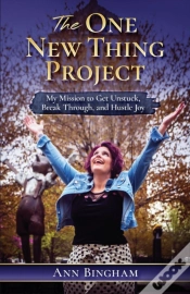 Capa do artigo The One New Thing Project
