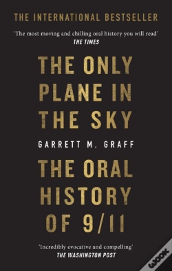 Capa do artigo The Only Plane In The Sky