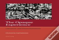The Opaque Experience