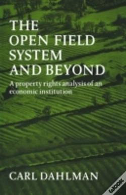 Capa do artigo The Open Field System And Beyond