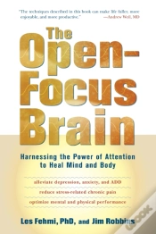 Capa do artigo The Open-Focus Brain