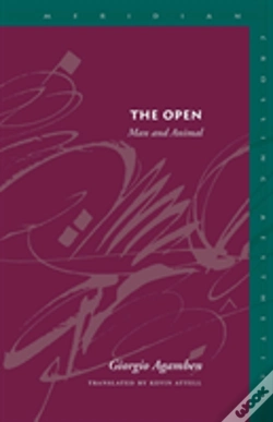Capa do artigo The Open