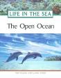 The Open Ocean - Preview